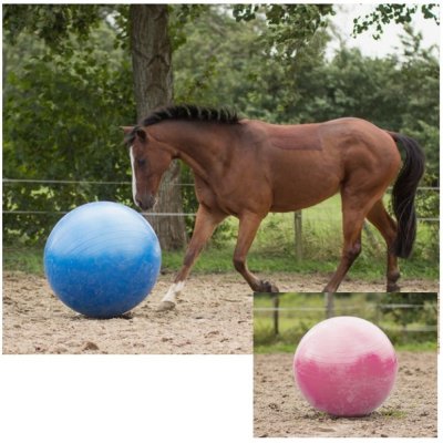 QHP Míč na hraníhorse football 80 100 cm blue – Hledejceny.cz