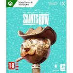 Saints Row (Notorious Edition) – Zboží Dáma