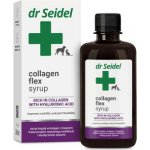 COBBYS PET Dr Seidel Collagen Flex Syrup 250 ml sirup na podporu kloubů pro psy a kočky – Hledejceny.cz