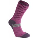 Bridgedale XC Classic Women's berry/plum