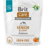 Brit Care Grain-free Senior & Light Salmon 1 kg – Zboží Mobilmania