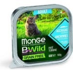Monge BWild Grain Free Adult Ančovičky 100 g – Hledejceny.cz