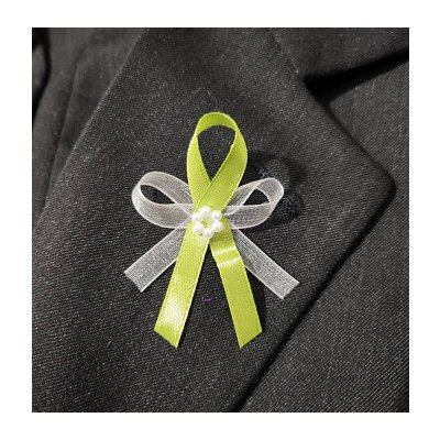 Vývazek zelený se šifonem – Zboží Dáma