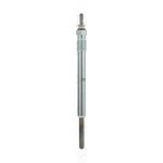CHAMPION Žhavicí svíčka CH219 – Hledejceny.cz