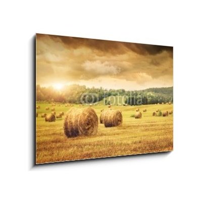 Obraz 1D - 100 x 70 cm - Field of freshly bales of hay with beautiful sunset Pole čerstvých balíků sena s krásným západem slunce