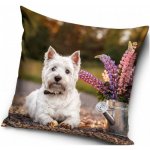 Carbotex Westík West highland white teriér 40 x 40 cm – Sleviste.cz