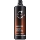 Tigi Catwalk Fashionista Brunette Shampoo 300 ml