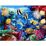 Norimpex Diamantové malování Podvodní svět 30 x 40 cm – Hledejceny.cz