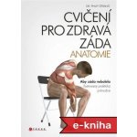 Cvičení pro zdravá záda - anatomie – Hledejceny.cz