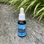 Bachovy esence Směs Dobrou noc a klidné sny 20 ml – Hledejceny.cz