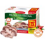 Terezia Company Hlíva ústřičná s lactobacily 120 tablet – Hledejceny.cz