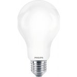 Philips LED žárovka E27 13W 2000lm 6500K – Hledejceny.cz