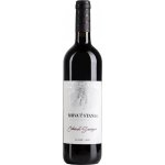Mrva & Stanko Cabernet Sauvignon 2022 13% 0,75 l (holá láhev) – Hledejceny.cz