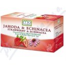 Fytopharma Ovocno bylinný čaj Jahoda Echin. 20 x 2 g