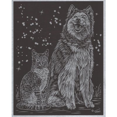 SMT Creatoys Vyškrabovací obrázek stříbrný 20x25 cm Pes a kočka – Zboží Dáma