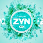 ZYN Spearmint 6 mg 20 sáčků – Hledejceny.cz