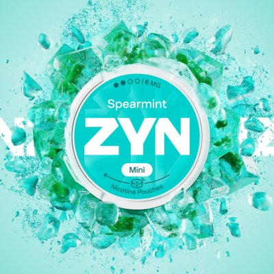 ZYN Spearmint 6 mg 20 sáčků – Hledejceny.cz
