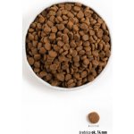Orijen Puppy 6 kg – Hledejceny.cz