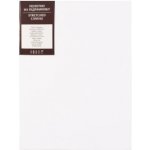 Rosa Economy plátno 20x20cm – Zboží Mobilmania