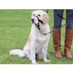 Trixie Top Trainer ohlávka proti táhnutí XS – Sleviste.cz