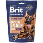 Brit Premium by Nature SM Snacks Salmon 180 g – Zboží Dáma
