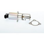 BorgWarner (Wahler) AGR-Ventil 710725D – Sleviste.cz