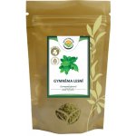 Salvia Paradise Gymnéma lesní list mletý 100 g – Hledejceny.cz