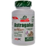 Amix GreenDay ProVegan Astragalus Extract 90 tablet – Hledejceny.cz