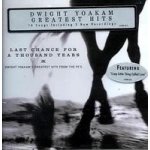 Yoakam Dwight - Last Chance For A Thousand Years - Greatest Hits From The 90s CD – Hledejceny.cz