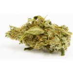 Cannapio Wellness Indoor CBD Květy do 1% THC 1g – Zboží Dáma