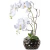 Květina Gasper Umělá květina Orchidej v oválné váze, bílá, 55 cm