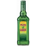 Pisang Ambon 17% 0,7 l (holá láhev) – Zboží Dáma