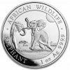 Bayerische Hauptmünzamt Elephant BU Slon 2024 Somálsko African Wildlife 1 oz