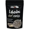 Krekr a snack WormUP Lahodní Cvrčci v čokoládě Bílá citronová čokoláda 80 g