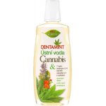 BC Bione Cosmetics Dentamint ústní voda Cannabis 500 ml – Hledejceny.cz