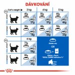 Royal Canin Indoor 7+ 3,5 kg – Hledejceny.cz