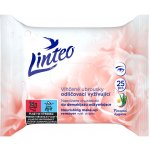 Linteo Satin vlhčené ubrousky 1-vrstvé 25 ks – Zboží Dáma