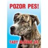 Autovýbava Grel Tabulka pozor pes stafordširský teriér