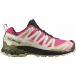 Salomon XA Pro 3D V9 GTX W Rouge Red/Vanilla Ice/Martini Olive – Zboží Mobilmania