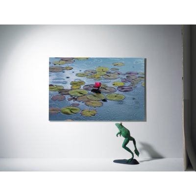 W&G F665 Fototapety na zeď Waterlilies 175 x 115 cm