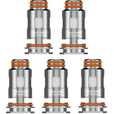 GeekVape Aegis Boost žhavicí hlava nerez 0,6ohm – Sleviste.cz