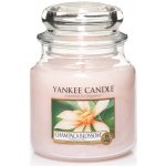 Yankee Candle Champaca Blossom 411 g – Zbozi.Blesk.cz