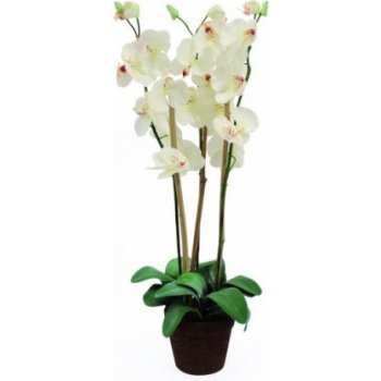 82530328 - Europalms Orchidej bílá, 80 cm - 0