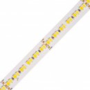 T-LED CCT 24CCT24024