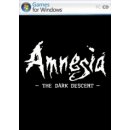 hra pro PC Amnesia: The Dark Descent