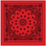 Šátek Rothco Jumbo Trainmen Western červeno černý – Hledejceny.cz