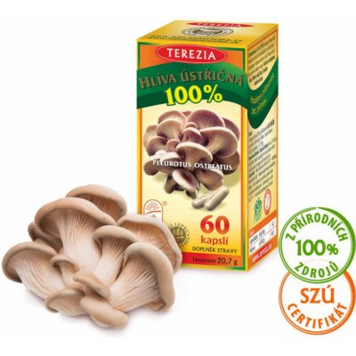 Terezia Company Hlíva Ústřičná 60 kapslí – Hledejceny.cz