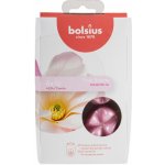 Bolsius Aromatic 2.0 True Sents Vosk Magnolia 6 ks – Hledejceny.cz