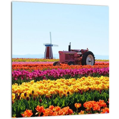 Skleněný obraz tulipánové farmy, jednodílný 30x30 cm na skle – Sleviste.cz