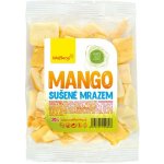 Wolfberry Mango sušené mrazem 20 g – Zboží Dáma